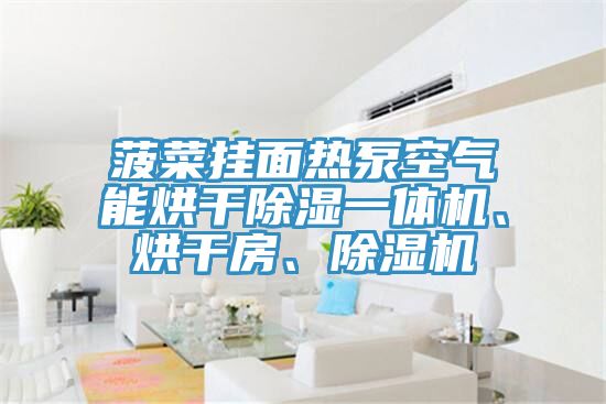 菠菜掛面熱泵空氣能烘干除濕一體機(jī)、烘干房、除濕機(jī)