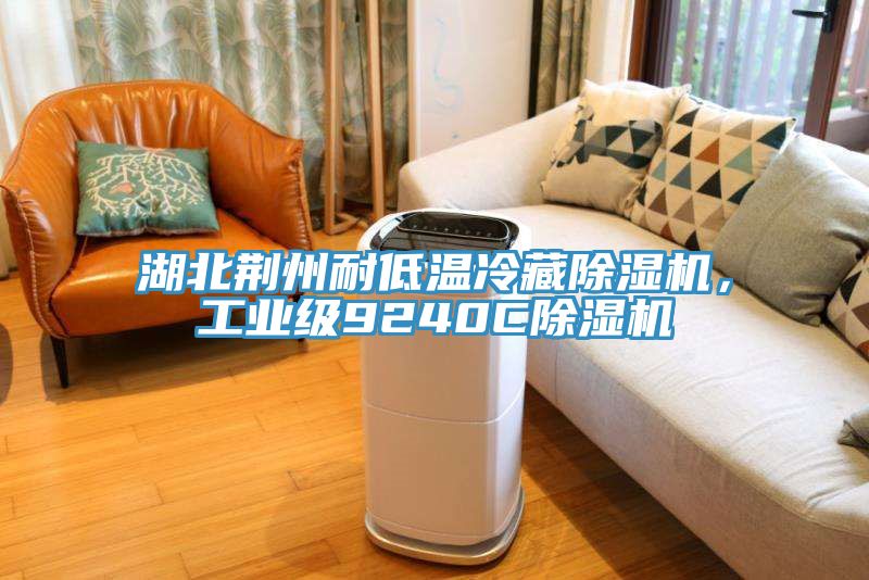 湖北荊州耐低溫冷藏除濕機，工業(yè)級9240C除濕機