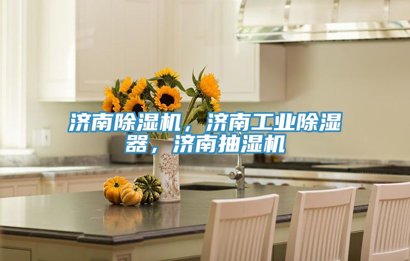 濟南除濕機，濟南工業(yè)除濕器，濟南抽濕機