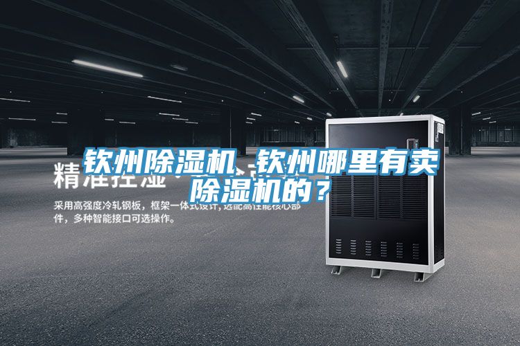 欽州除濕機(jī) 欽州哪里有賣(mài)除濕機(jī)的？
