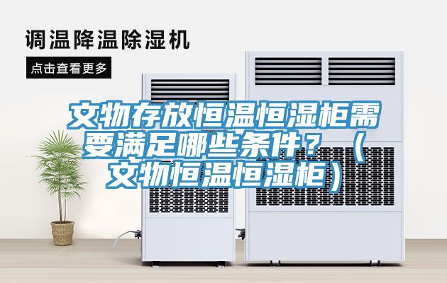 文物存放恒溫恒濕柜需要滿足哪些條件？（文物恒溫恒濕柜）