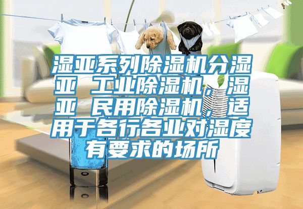 濕亞系列除濕機(jī)分濕亞 工業(yè)除濕機(jī)，濕亞 民用除濕機(jī)，適用于各行各業(yè)對濕度有要求的場所