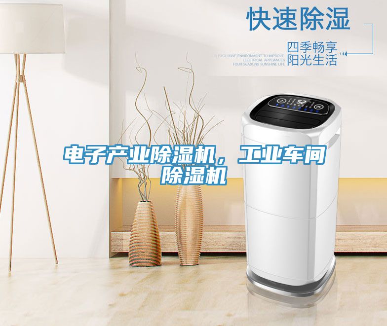 電子產(chǎn)業(yè)除濕機(jī)，工業(yè)車間除濕機(jī)