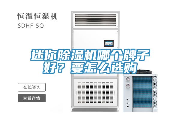 迷你除濕機哪個牌子好？要怎么選購