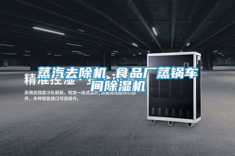 蒸汽去除機(jī) 食品廠(chǎng)蒸鍋車(chē)間除濕機(jī)