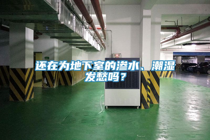 還在為地下室的滲水、潮濕發(fā)愁嗎？