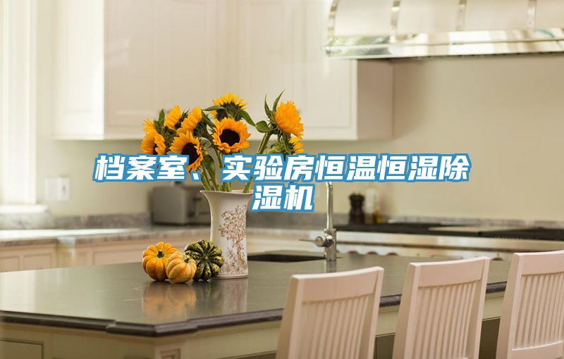 檔案室、實(shí)驗(yàn)房恒溫恒濕除濕機(jī)