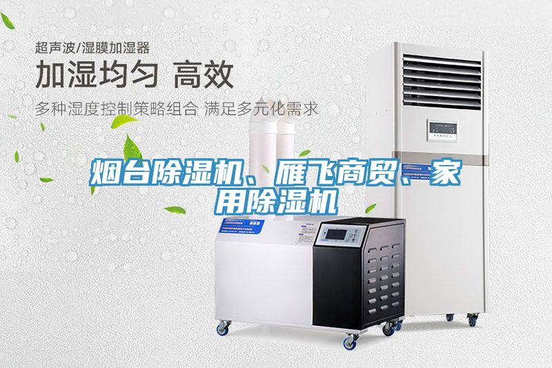 煙臺除濕機、雁飛商貿(mào)、家用除濕機