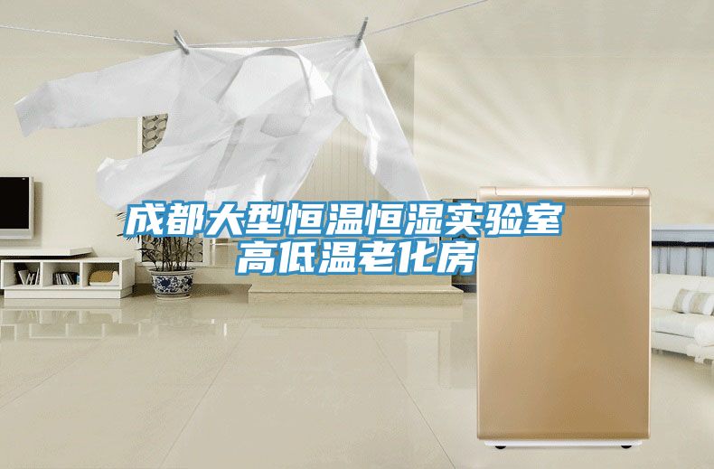 成都大型恒溫恒濕實(shí)驗室 高低溫老化房