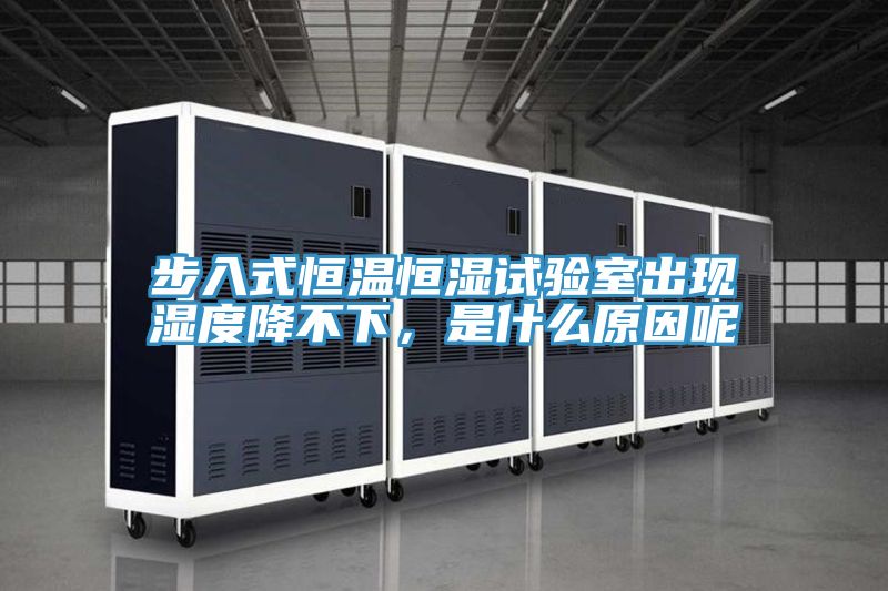 步入式恒溫恒濕試驗(yàn)室出現(xiàn)濕度降不下，是什么原因呢