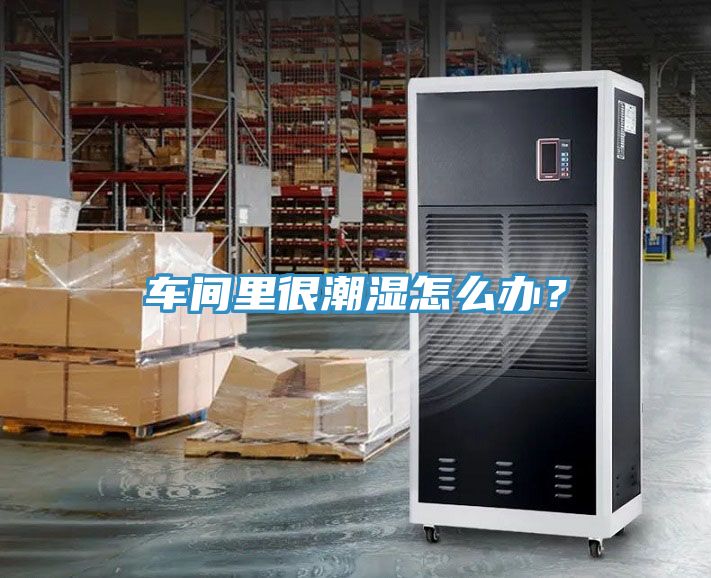 車間里很潮濕怎么辦？
