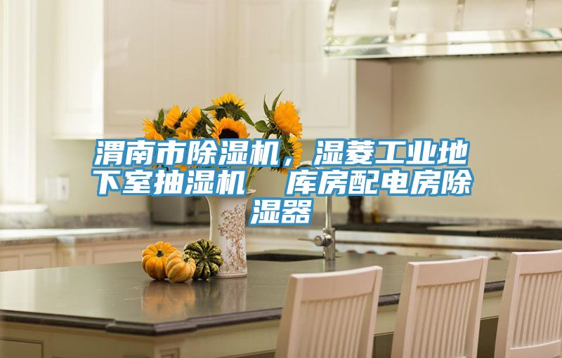 渭南市除濕機，濕菱工業(yè)地下室抽濕機  庫房配電房除濕器