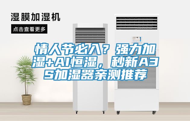情人節(jié)必入？強(qiáng)力加濕+AI恒濕，秒新A3S加濕器親測(cè)推薦