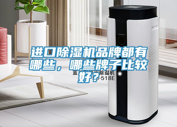 進(jìn)口除濕機(jī)品牌都有哪些，哪些牌子比較好？
