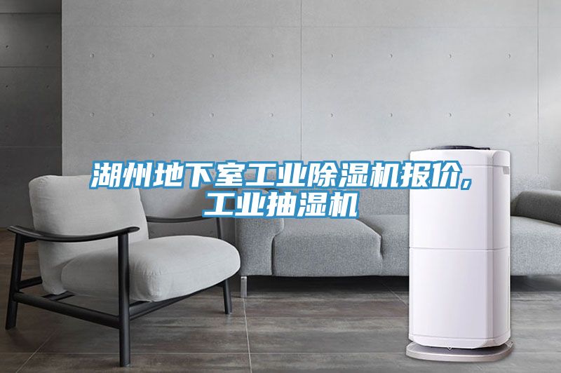 湖州地下室工業(yè)除濕機(jī)報(bào)價,工業(yè)抽濕機(jī)