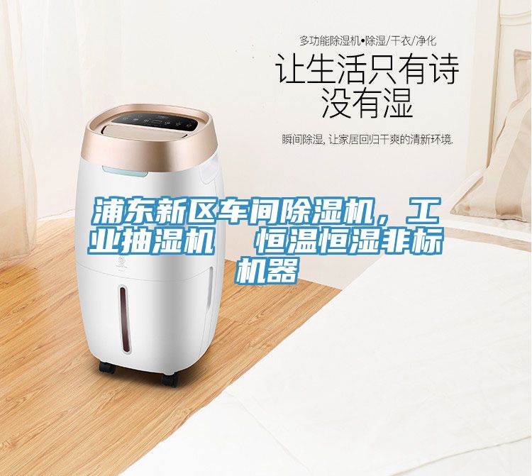 浦東新區(qū)車間除濕機(jī)，工業(yè)抽濕機(jī)  恒溫恒濕非標(biāo)機(jī)器