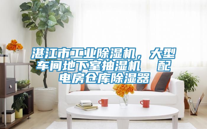 湛江市工業(yè)除濕機(jī)，大型車間地下室抽濕機(jī)  配電房倉庫除濕器