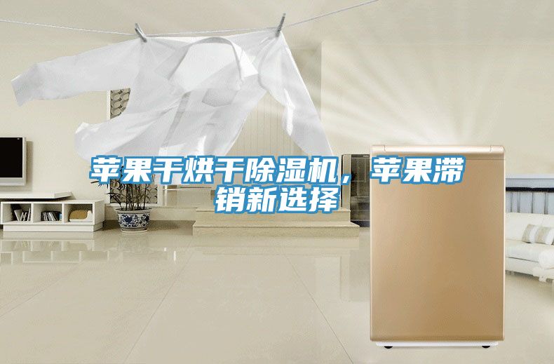 蘋(píng)果干烘干除濕機(jī)，蘋(píng)果滯銷(xiāo)新選擇