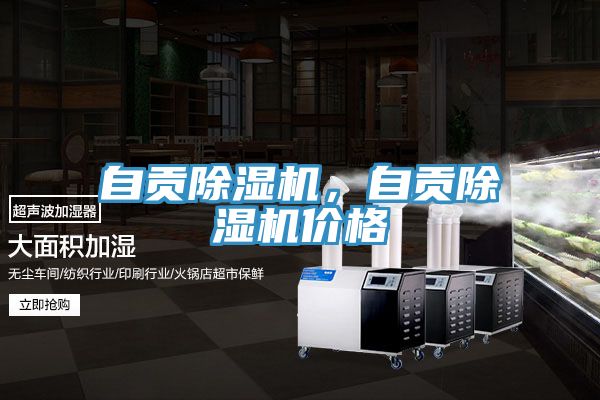 自貢除濕機(jī)，自貢除濕機(jī)價(jià)格