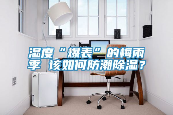 濕度“爆表”的梅雨季 該如何防潮除濕？