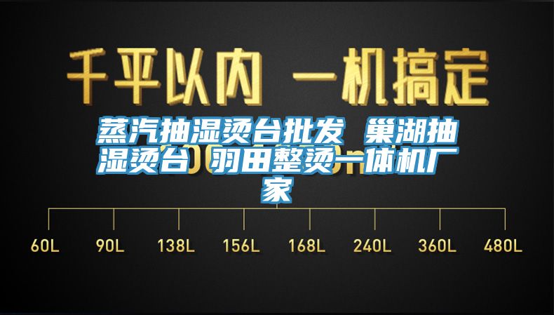 蒸汽抽濕燙臺(tái)批發(fā) 巢湖抽濕燙臺(tái) 羽田整燙一體機(jī)廠(chǎng)家