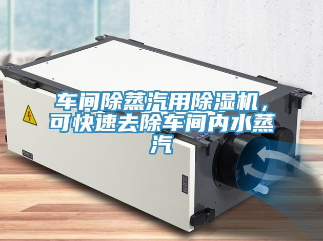 車間除蒸汽用除濕機(jī)，可快速去除車間內(nèi)水蒸汽