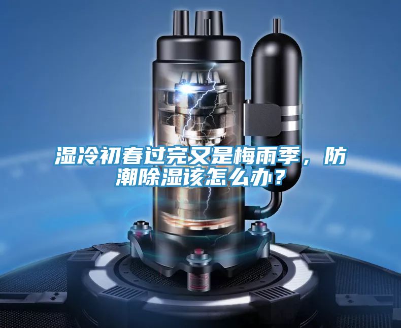 濕冷初春過完又是梅雨季，防潮除濕該怎么辦？