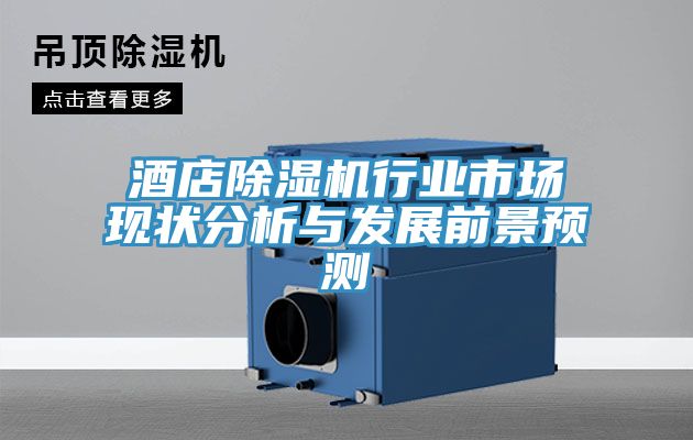 酒店除濕機行業(yè)市場現狀分析與發(fā)展前景預測