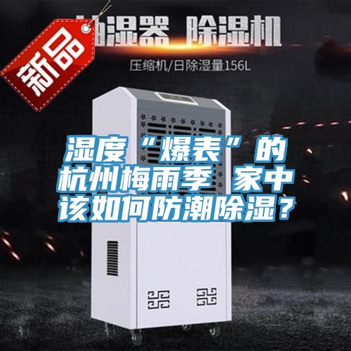 濕度“爆表”的杭州梅雨季 家中該如何防潮除濕？