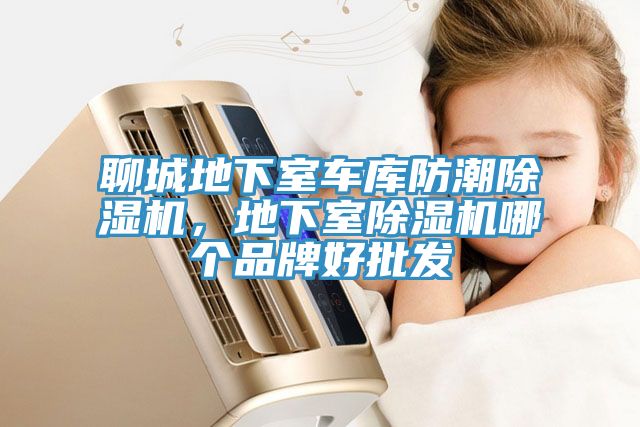 聊城地下室車庫防潮除濕機(jī)，地下室除濕機(jī)哪個(gè)品牌好批發(fā)