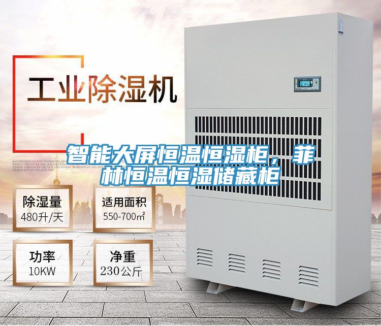 智能大屏恒溫恒濕柜，菲林恒溫恒濕儲藏柜