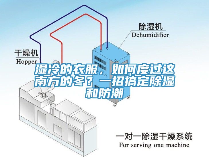 濕冷的衣服，如何度過這南方的冬？一招搞定除濕和防潮