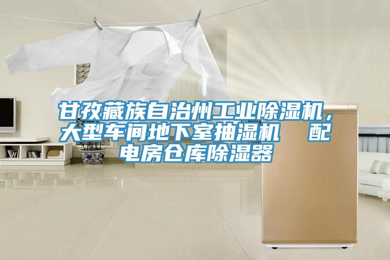 甘孜藏族自治州工業(yè)除濕機(jī)，大型車間地下室抽濕機(jī)  配電房倉(cāng)庫(kù)除濕器