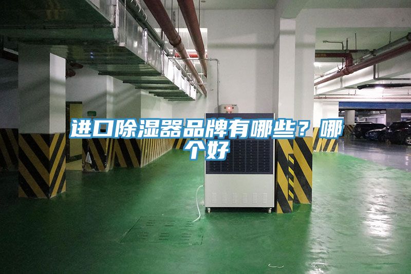 進口除濕器品牌有哪些？哪個好