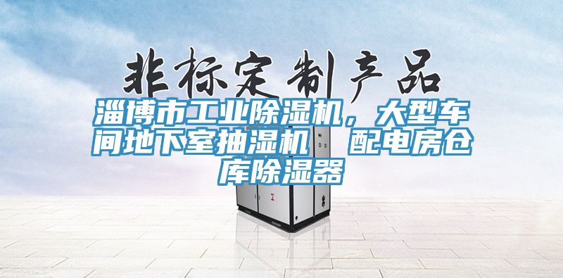 淄博市工業(yè)除濕機(jī)，大型車間地下室抽濕機(jī)  配電房倉庫除濕器