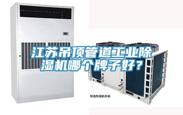 江蘇吊頂管道工業(yè)除濕機(jī)哪個(gè)牌子好？