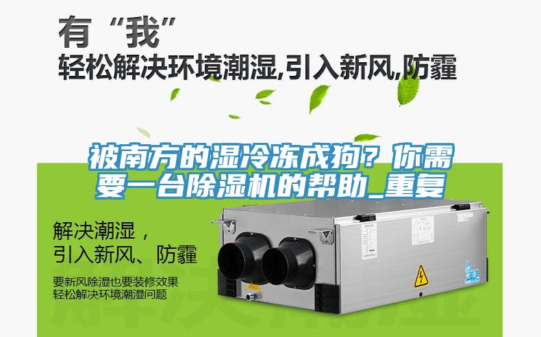 被南方的濕冷凍成狗？你需要一臺(tái)除濕機(jī)的幫助_重復(fù)