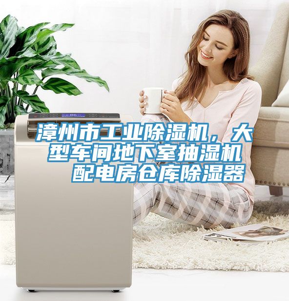 漳州市工業(yè)除濕機(jī)，大型車間地下室抽濕機(jī)  配電房倉庫除濕器