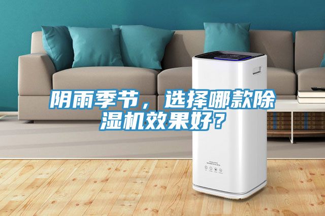 陰雨季節(jié)，選擇哪款除濕機(jī)效果好？