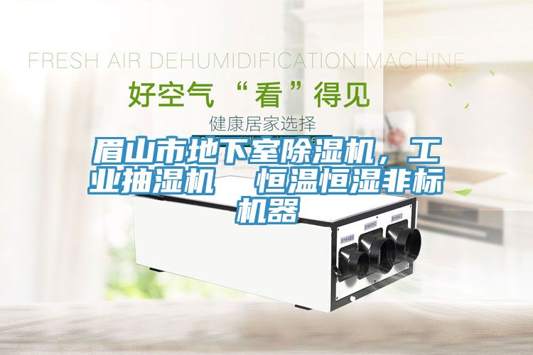 眉山市地下室除濕機(jī)，工業(yè)抽濕機(jī)  恒溫恒濕非標(biāo)機(jī)器