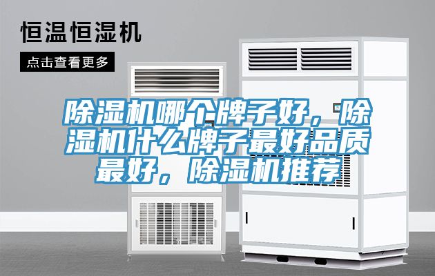 除濕機(jī)哪個(gè)牌子好，除濕機(jī)什么牌子最好品質(zhì)最好，除濕機(jī)推薦