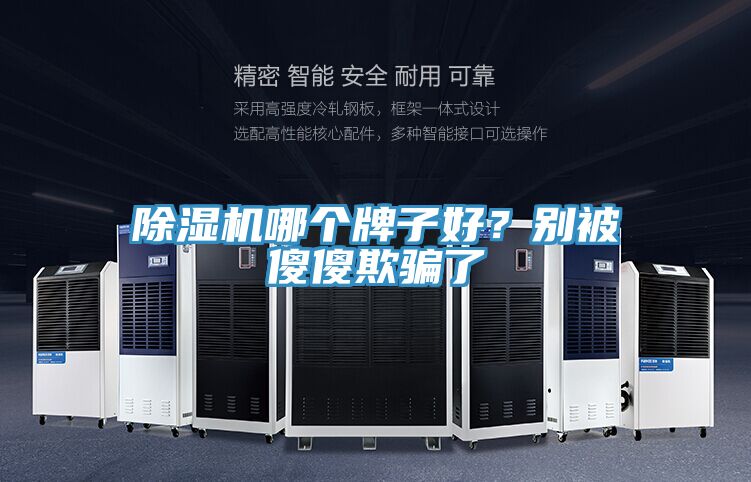 除濕機(jī)哪個(gè)牌子好？別被傻傻欺騙了