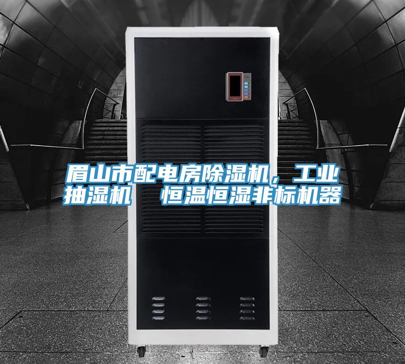 眉山市配電房除濕機(jī)，工業(yè)抽濕機(jī)  恒溫恒濕非標(biāo)機(jī)器