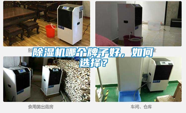 除濕機(jī)哪個(gè)牌子好，如何選擇？