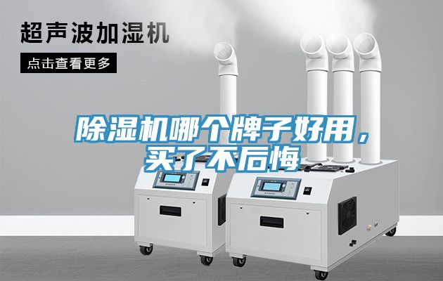 除濕機(jī)哪個(gè)牌子好用，買了不后悔