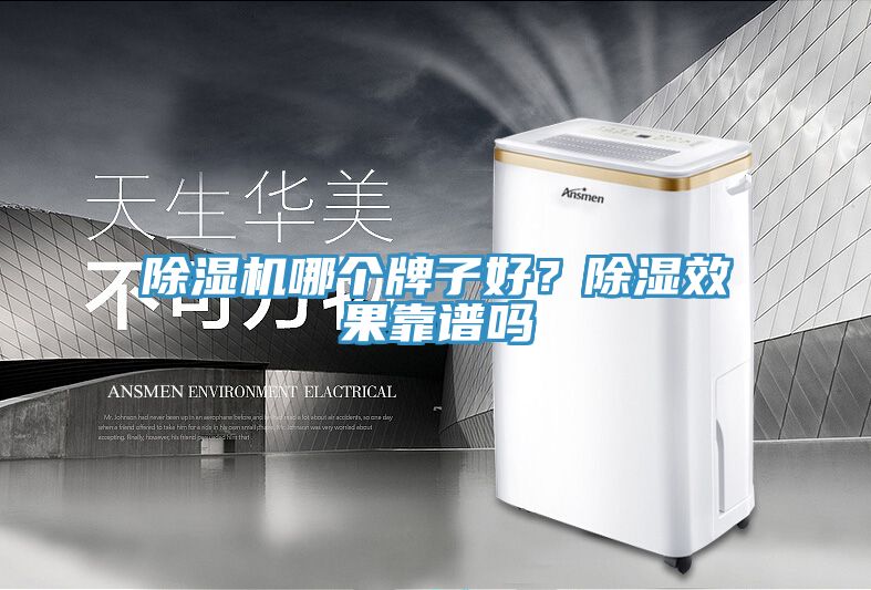 除濕機哪個牌子好？除濕效果靠譜嗎