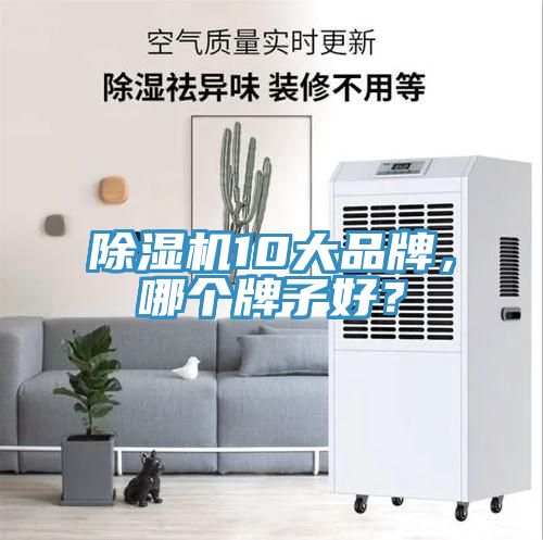 除濕機10大品牌，哪個牌子好？