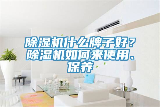 除濕機(jī)什么牌子好？除濕機(jī)如何來(lái)使用、保養(yǎng)