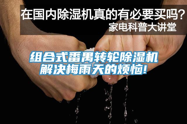 組合式番禺轉(zhuǎn)輪除濕機解決梅雨天的煩惱!