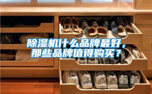 除濕機(jī)什么品牌最好，那些品牌值得購買？